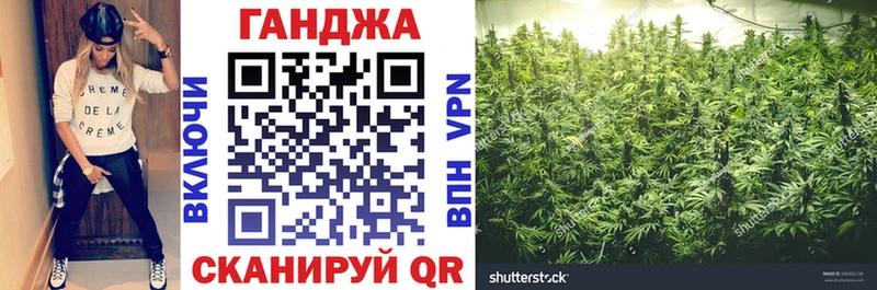Бошки марихуана план Купить где Змеиногорск